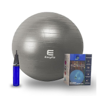 Фитбол EasyFit массажный с системой антивзрыв, насос в компл. 65см темно-серый / 4297