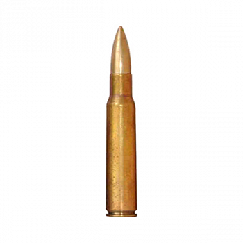 Учебный патрон 7,62х63 (.30-06 Springfield) / АК74