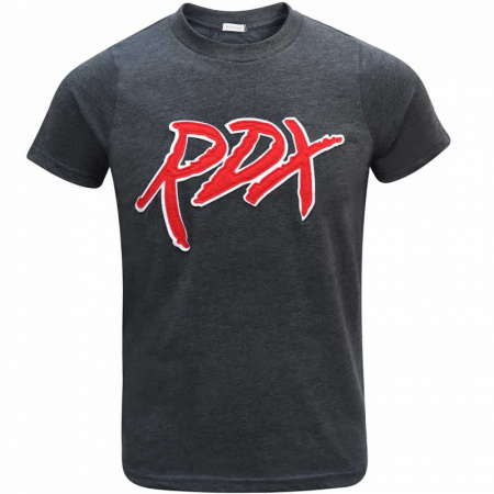 Футболка RDX T-shirt Applique Printing Charcoal (L) / 4863_gy